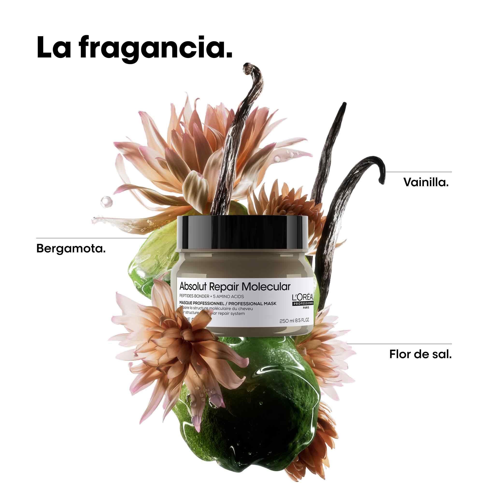 Absolut Repair Molecular Mascarilla 250ml - Image 6