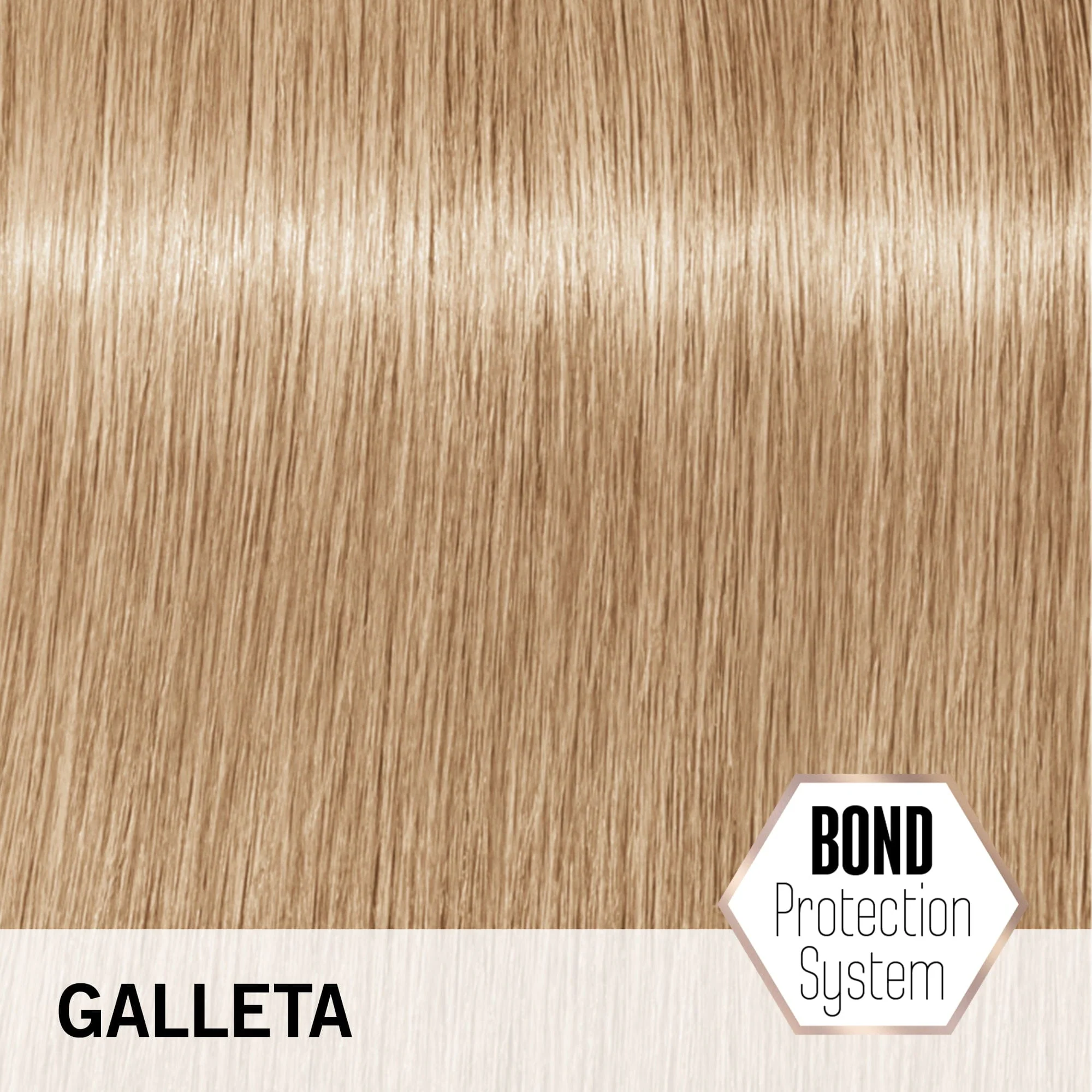 BLONDME Aclaración de Rubios Tono Galleta 60ml - Image 3
