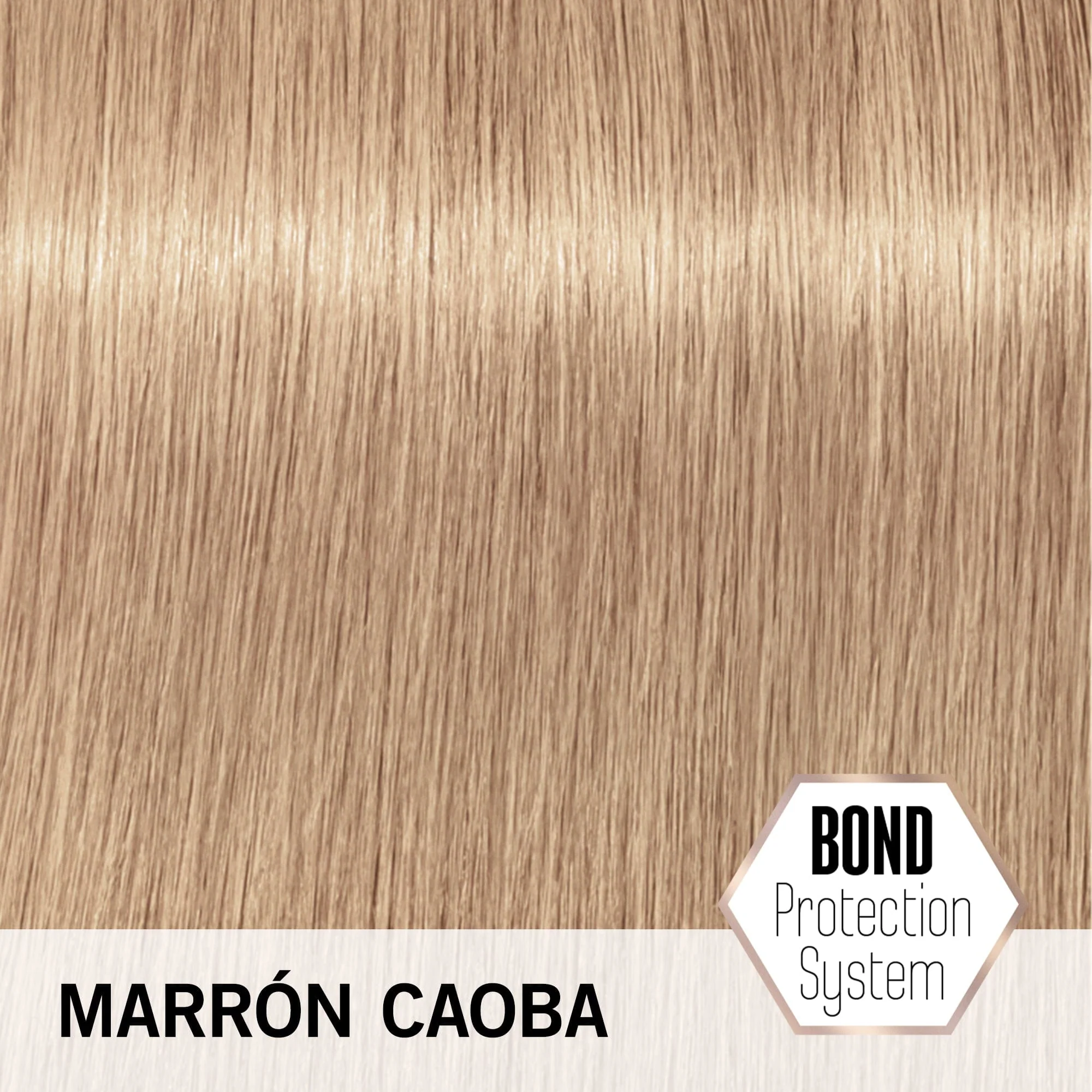 BLONDME Aclaración y Tonalización Marrón Caoba 60 ml - Image 3