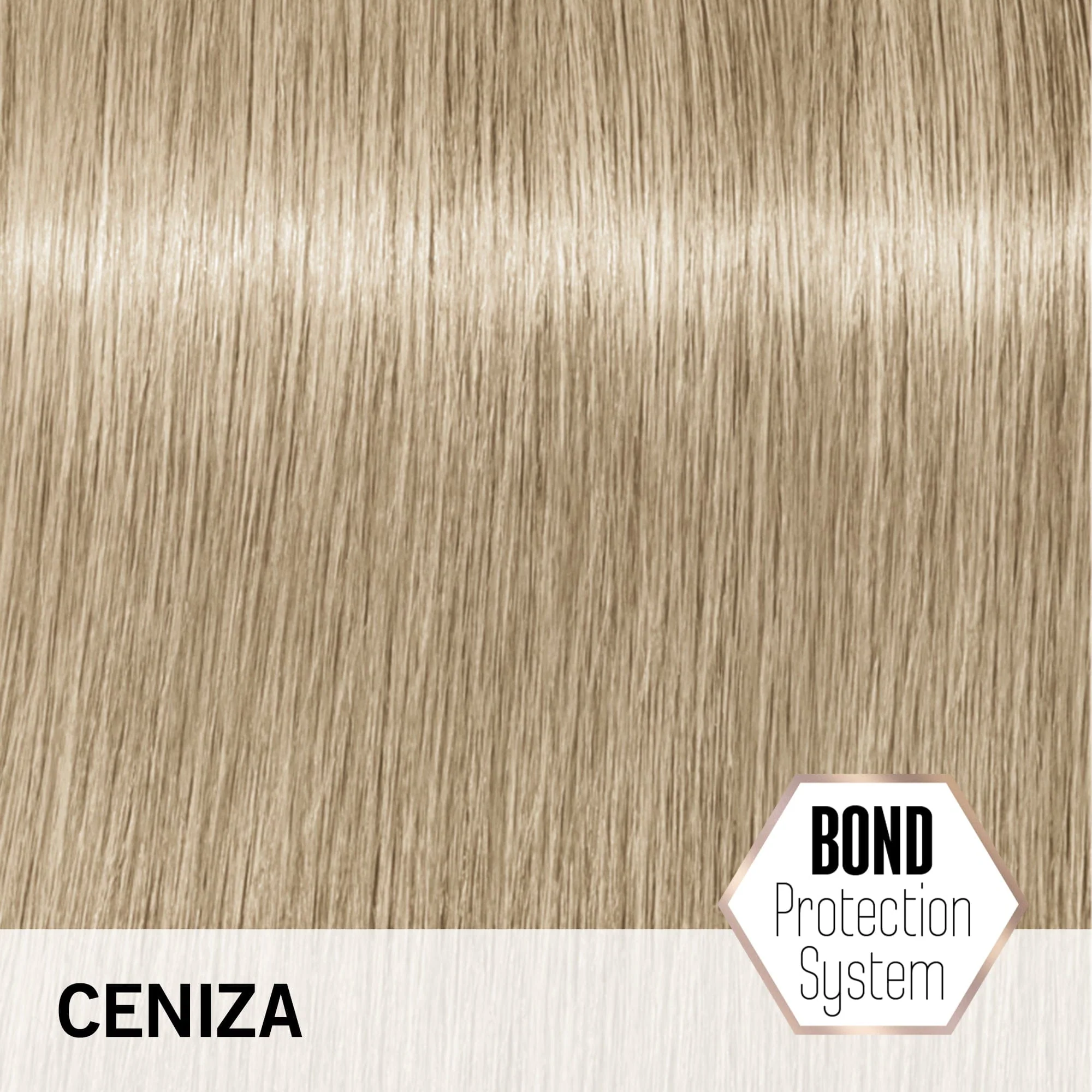 BLONDME Aclaración y Tonalización Tono Ceniza 60 ml - Image 2