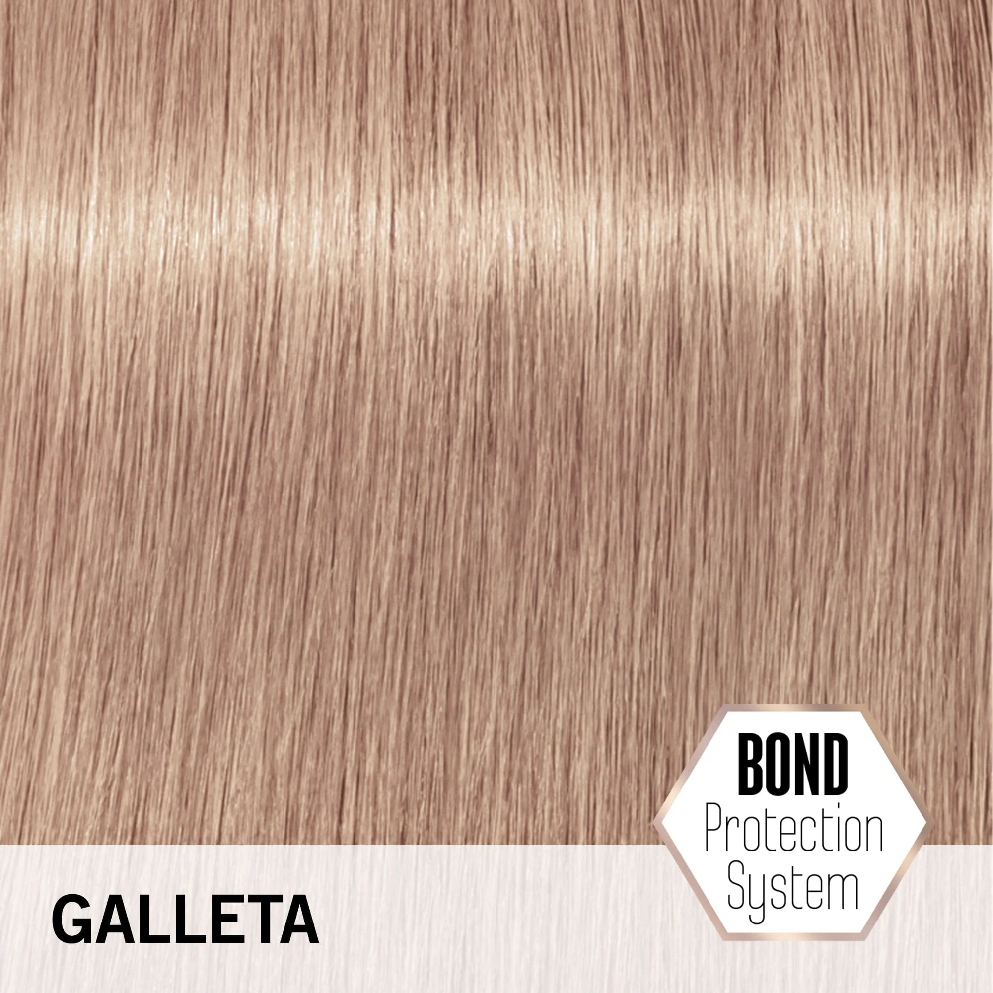 BLONDME Aclaración y Tonalización Tono Galleta 60 ml - Image 3