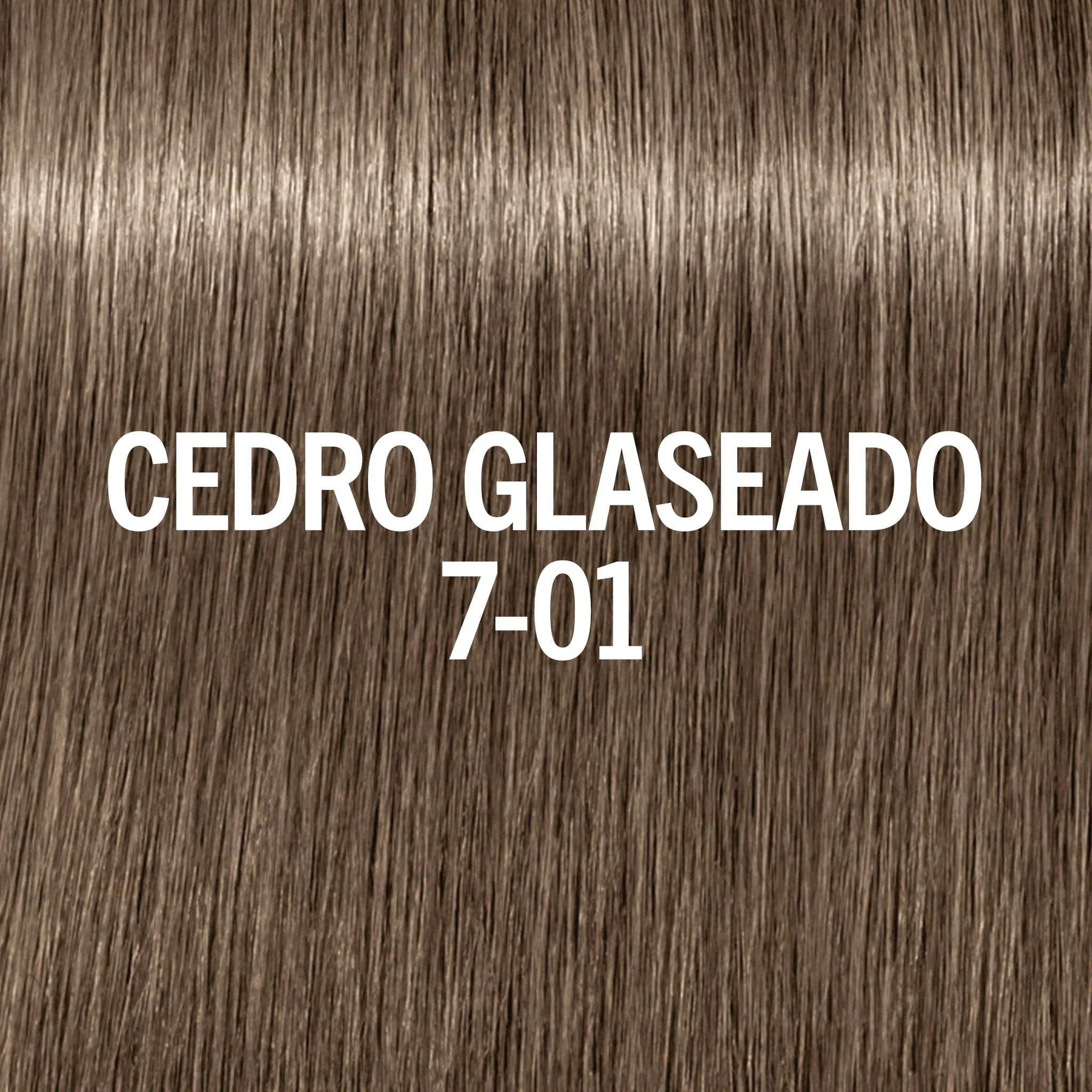 BLONDME Matizador de Brillo, tono Cedro Glaseado 7-01 60ml - Image 2