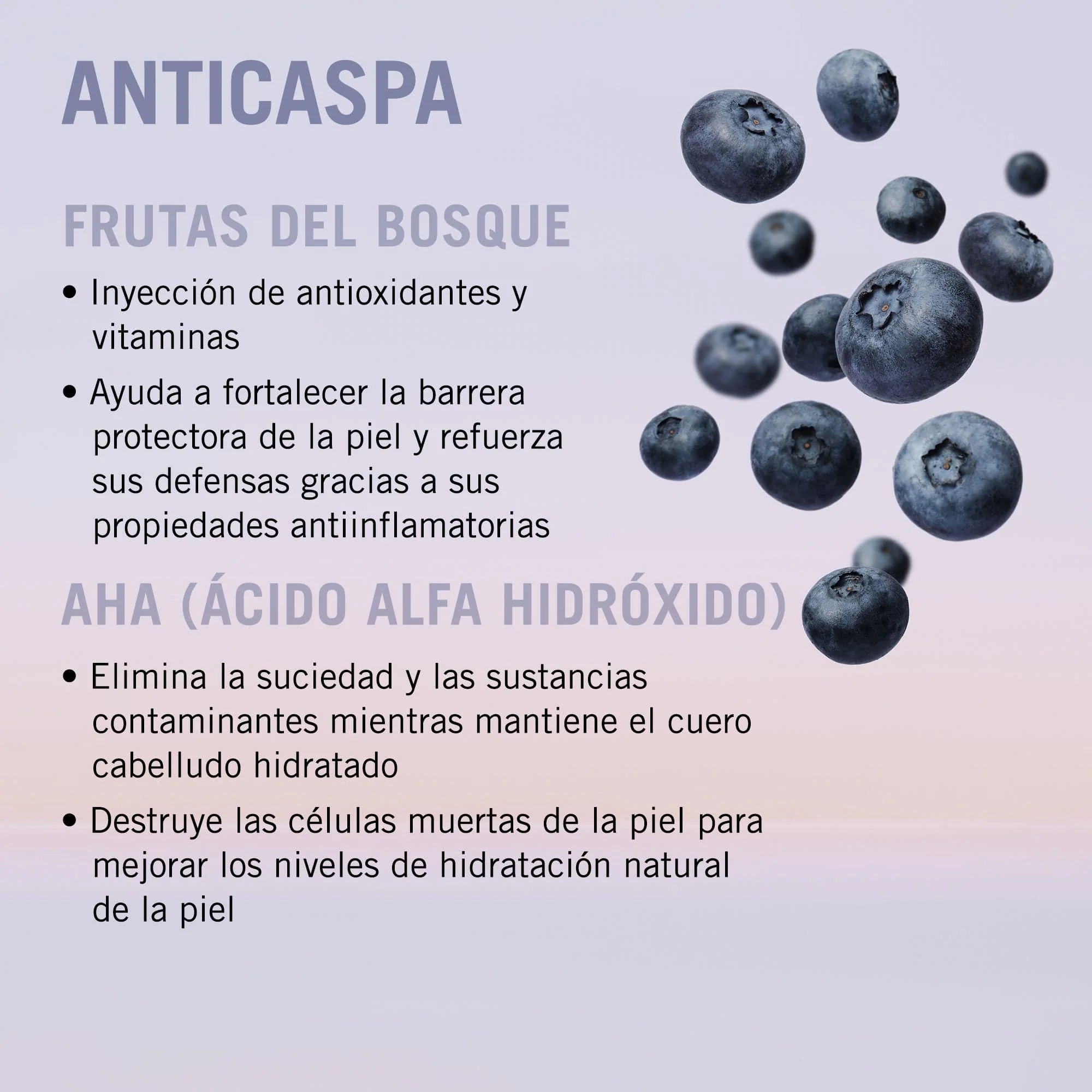 Bonacure Scalp Genesis Sérum Anticaspa 100ml - Image 3