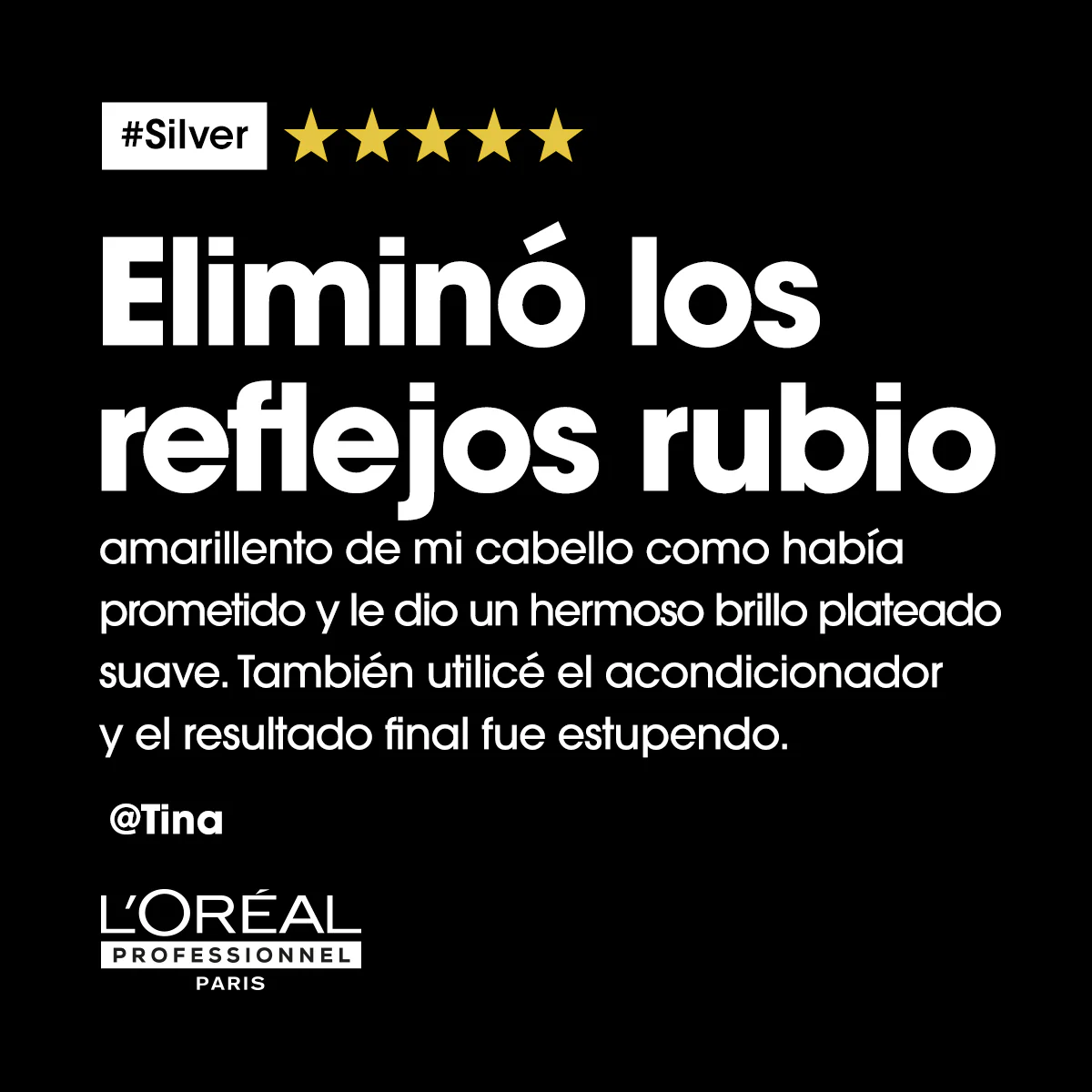 Champú Silver 300ml - Image 10