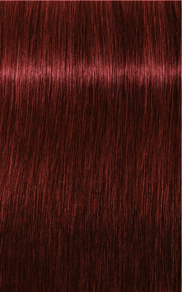 IGORA ROYAL 5-88 Castaño Claro Rojo Intenso 60ml - Image 2