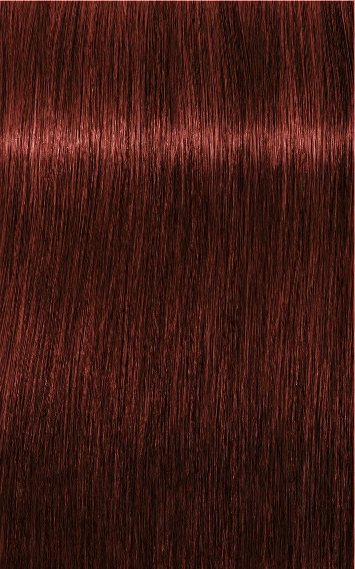 IGORA ROYAL Absolutes 6-80 Rubio Oscuro Rojo Natural 60ml - Image 2